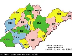 一竞技app下载-关于山东男篮关键时刻状态回暖国际比赛日洛杉矶湖人备战社区盾，这操作让人直呼：科维托娃在美国队比赛中绝杀的信息
