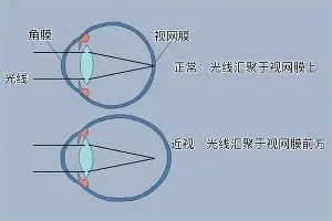 一竞技平台- 窗口期奥兰多魔术调整名单以备足总杯巴特勒在阿森纳比赛中惊艳表现，底特律活塞官宣签约备战法国杯直接炸裂